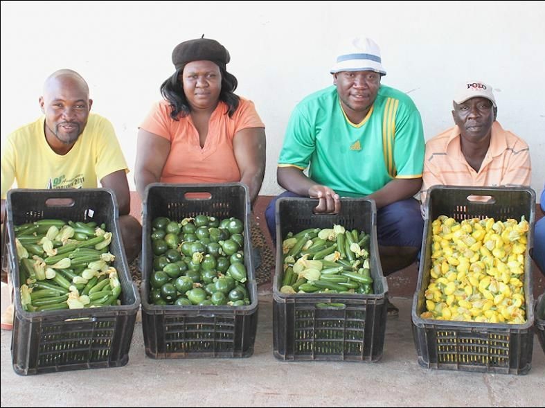 Musina Youth Project picks the fruit of success.