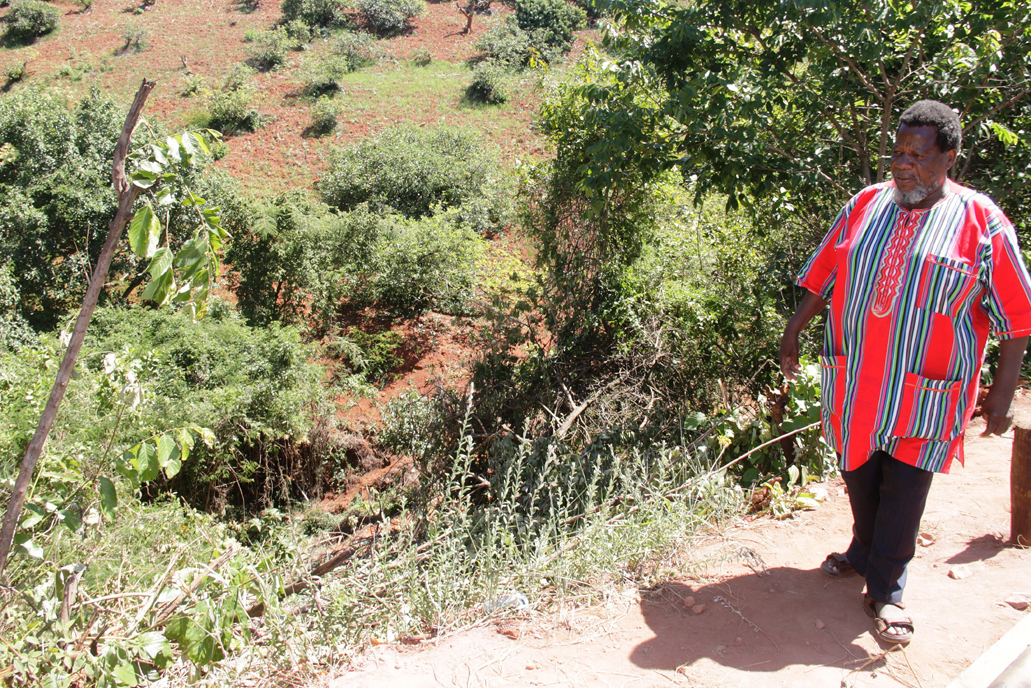 Five killed in horrific taxi accident