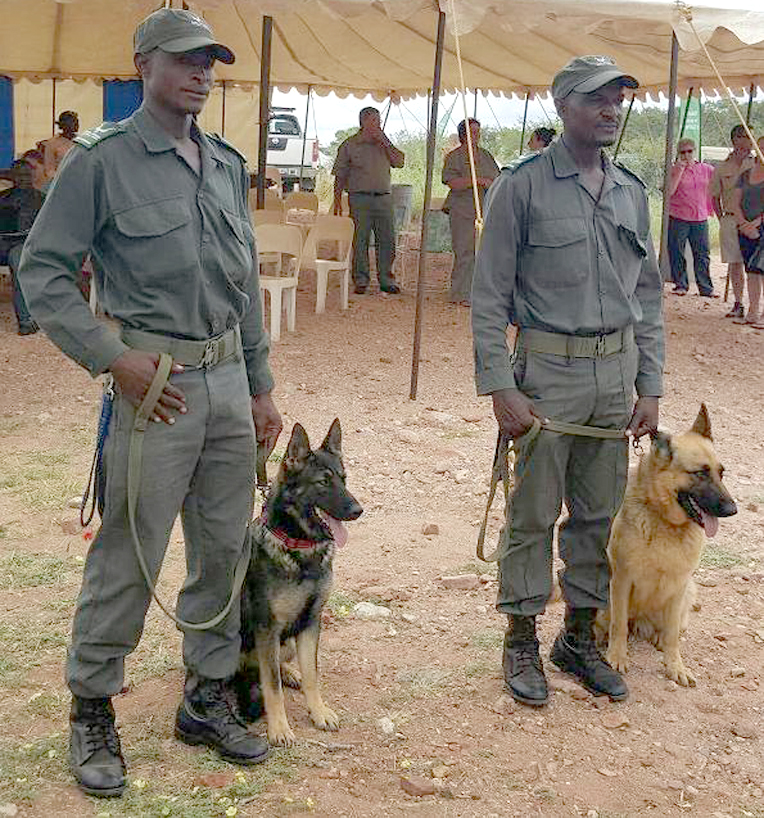 Mapungubwe gets four-legged assistants to fight poaching