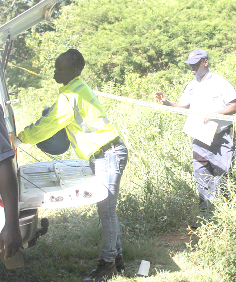 Body of newborn baby found dumped in bushes