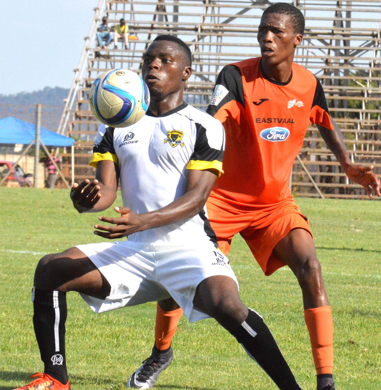 Leopards surrender
