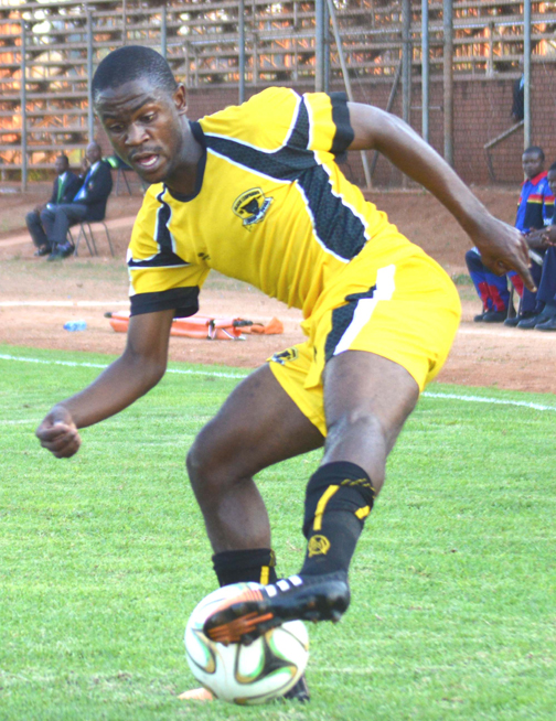 Can Black Leopards make a come-back?