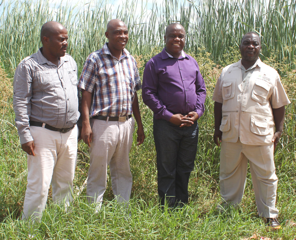 Local wetlands in the spotlight