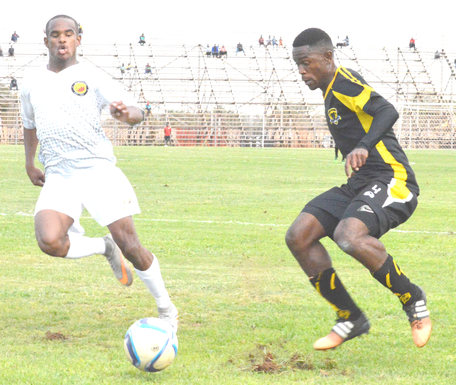 Home defeat for Black Leopards