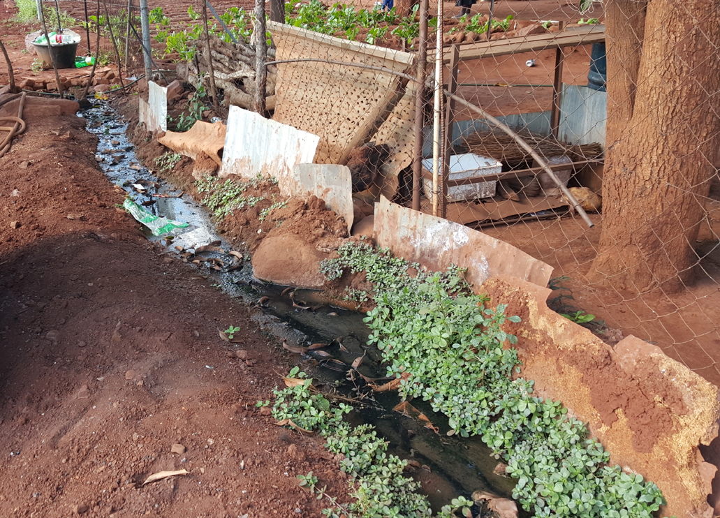 Spilling sewage trouble at Mhingaville