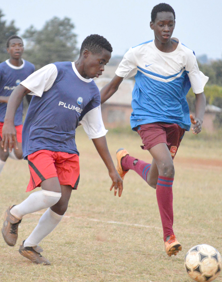 Maungani too bright for Shooting Stars