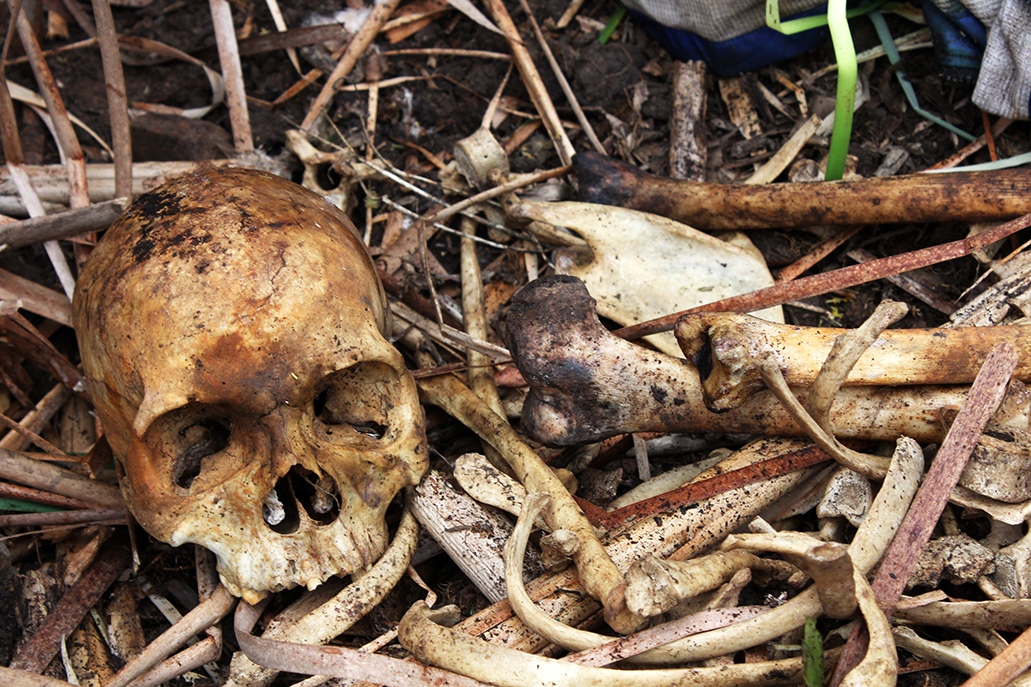 Gruesome ﬁnd