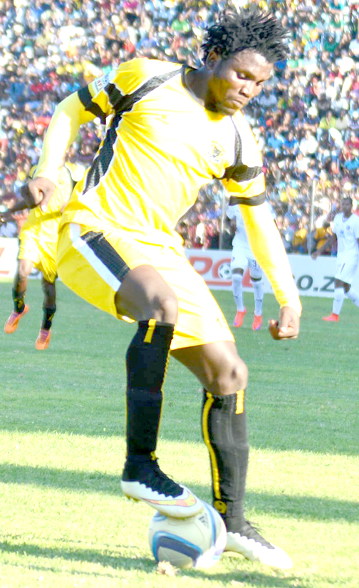 Black Leopards ready to maul the Tukkie students