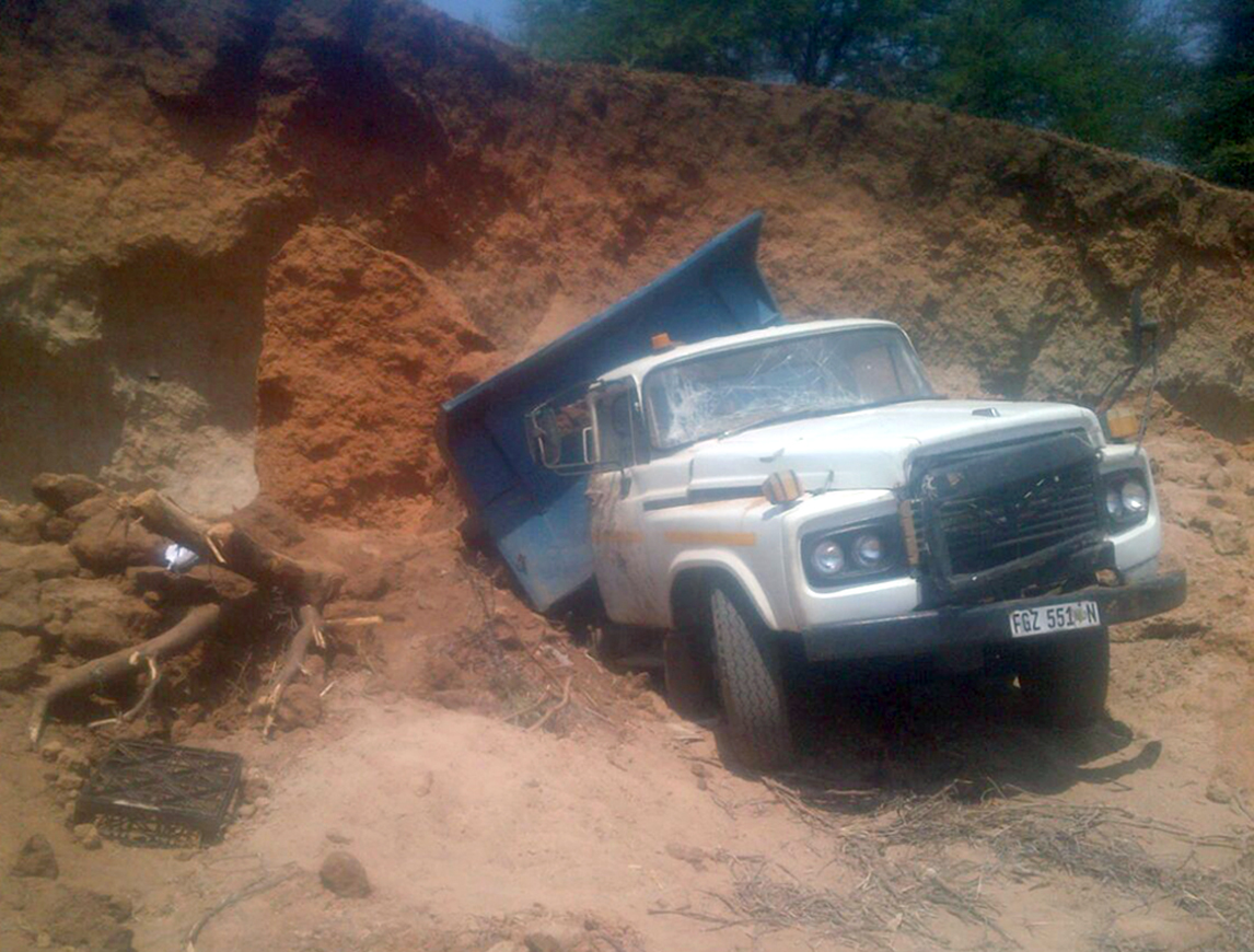Brothers killed by truck