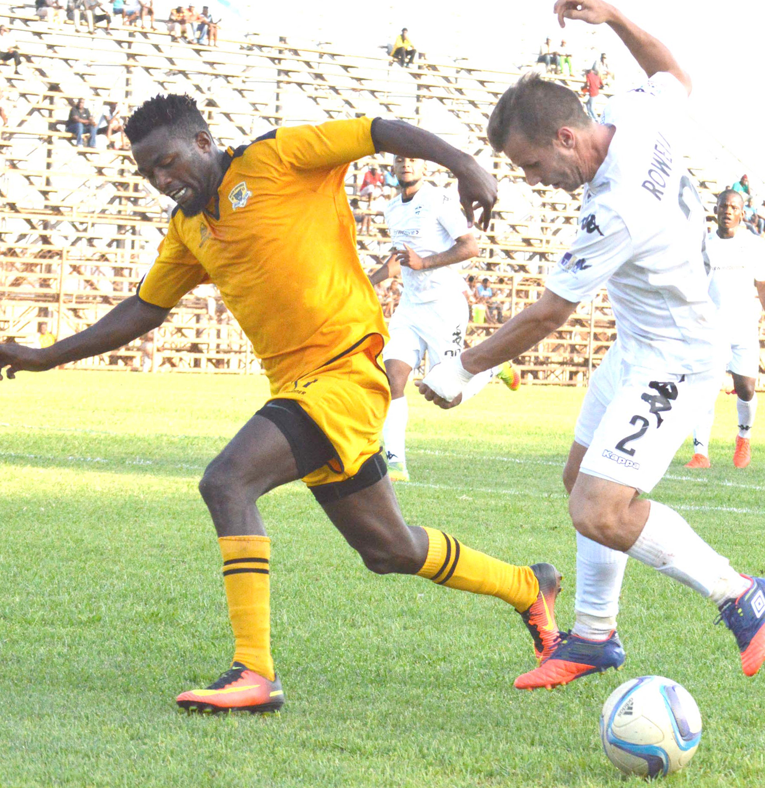 Black Leopards surrender