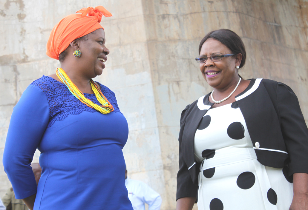 MEC and mayor on fact finding tour to Beit Bridge
