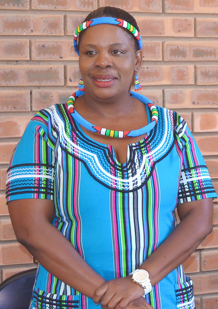 No new vehicle for mayor of Musina municipality