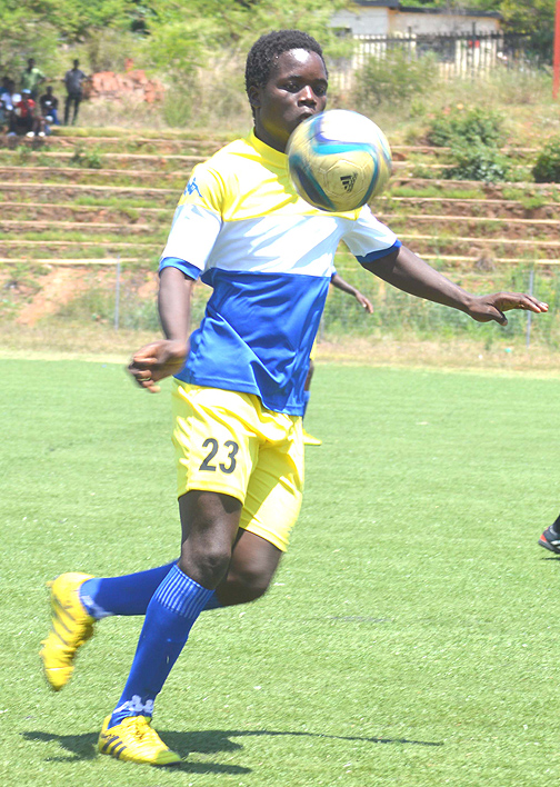 Joe and Dolphins in Motsepe clash