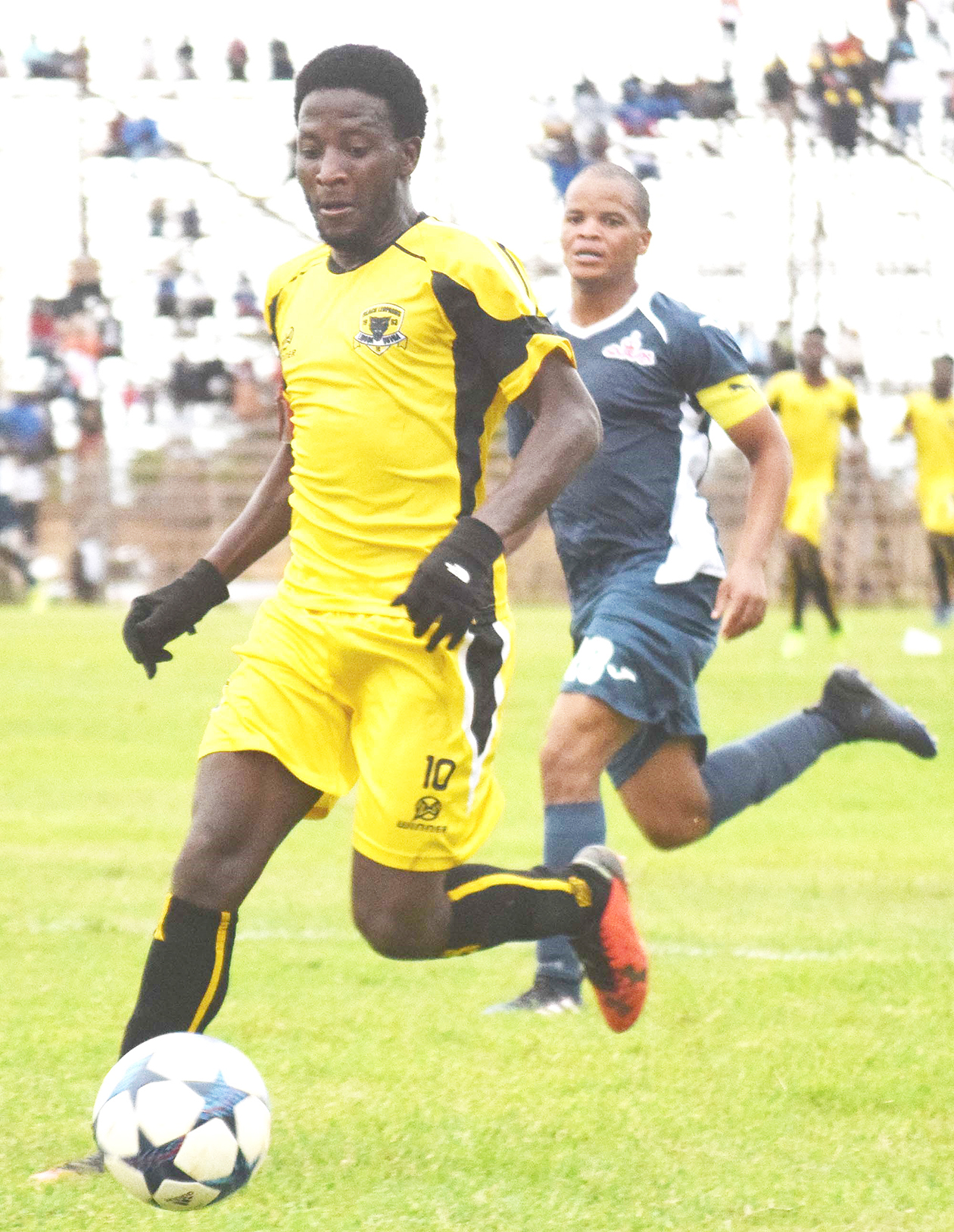 Shock for Leopards