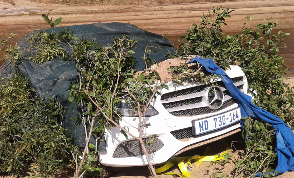 Stolen vehicles recovered before crossing the border