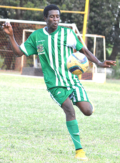 Berea and Aces in Zimunga final