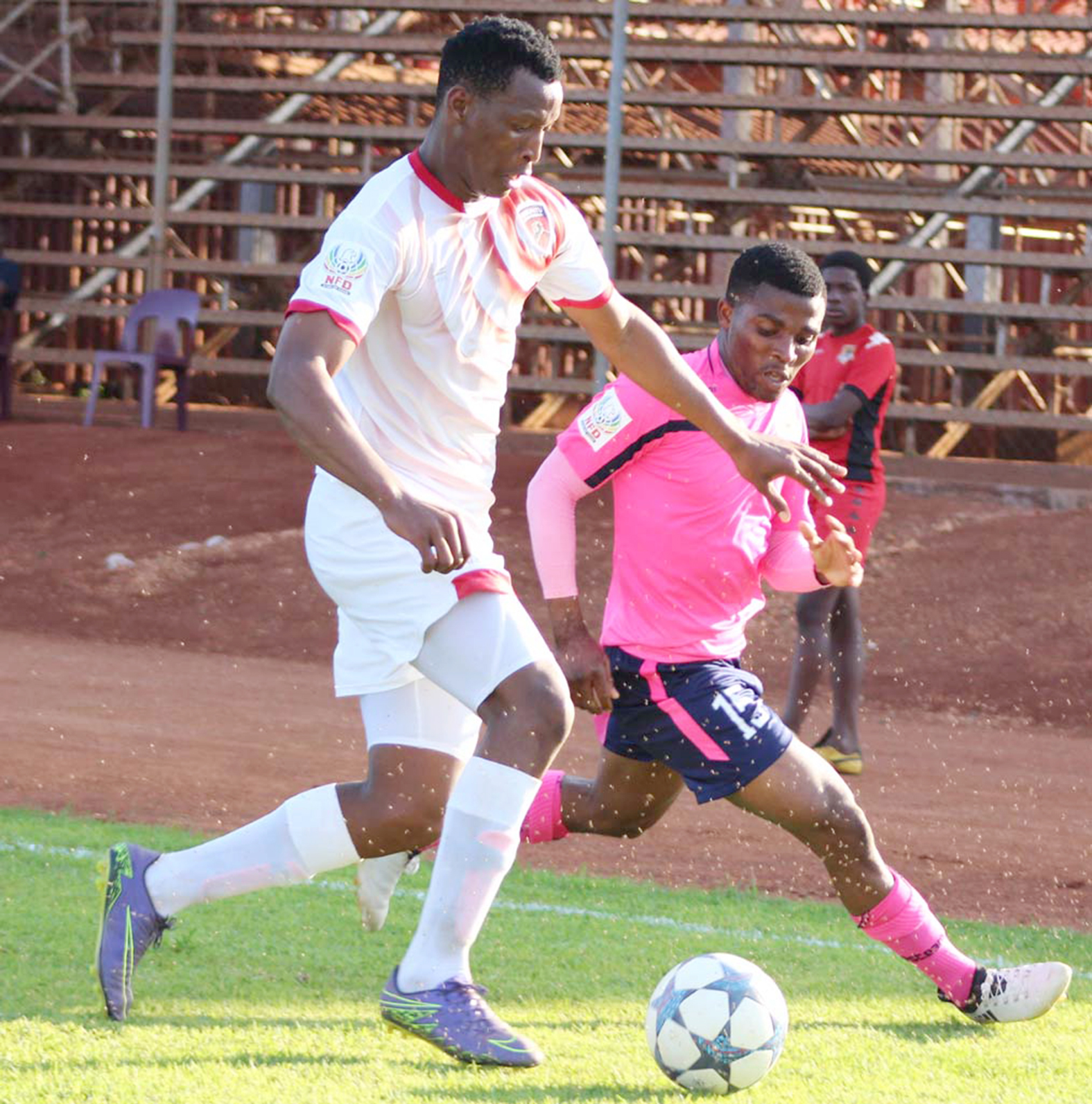 Leopards and Ubuntu share the grory