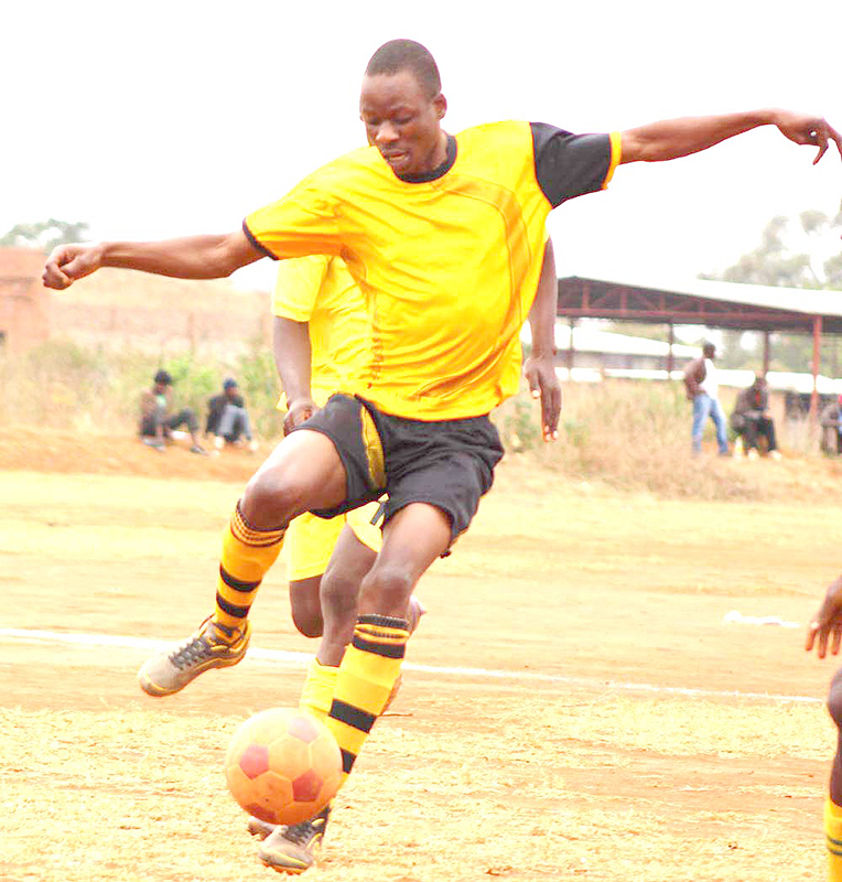 High Aims too strong for Young Tigers