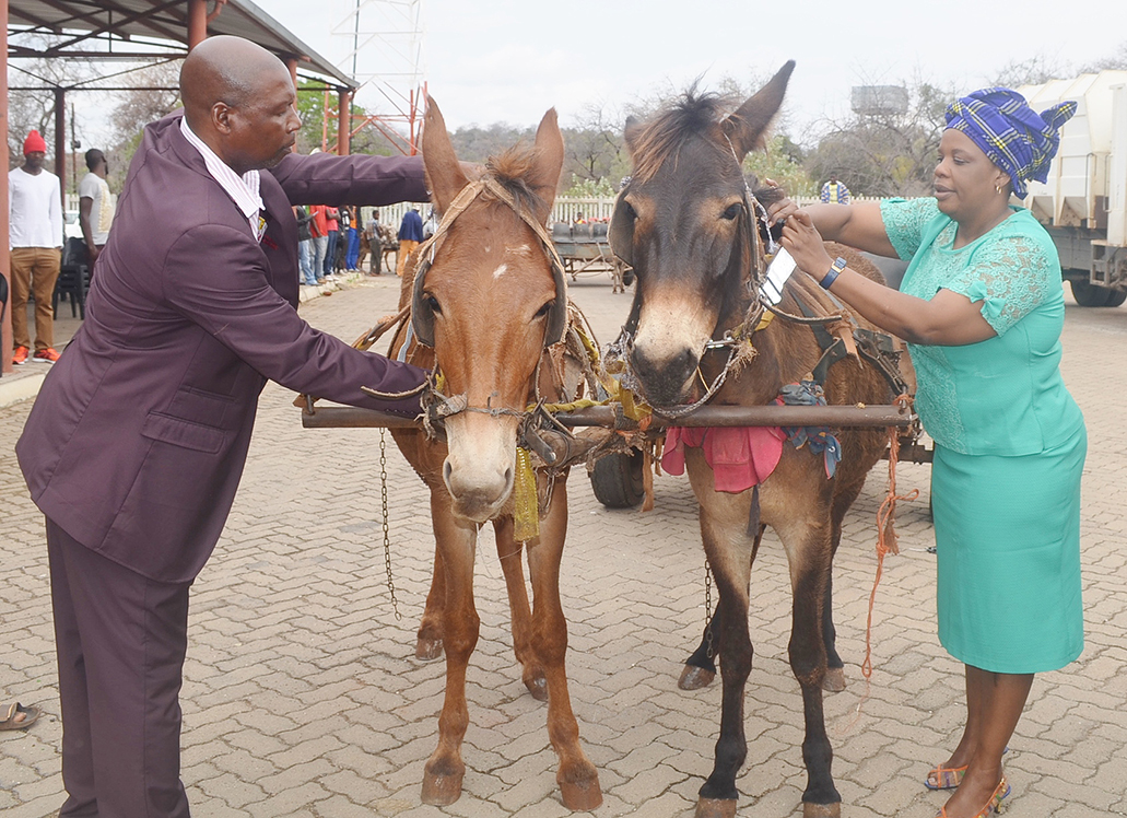 Community must take care of their domestic animals