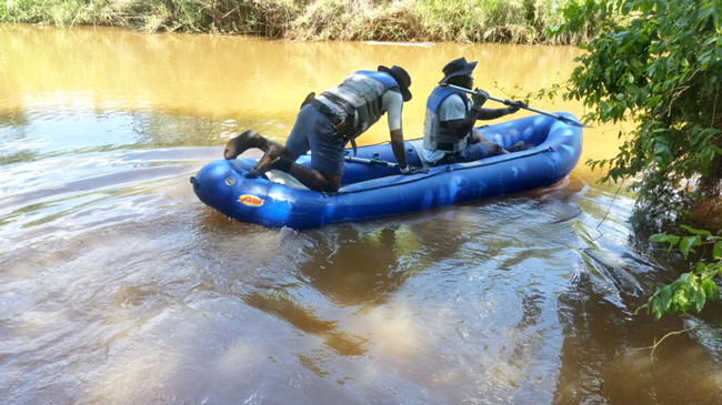 Woman missing after crocodile attack
