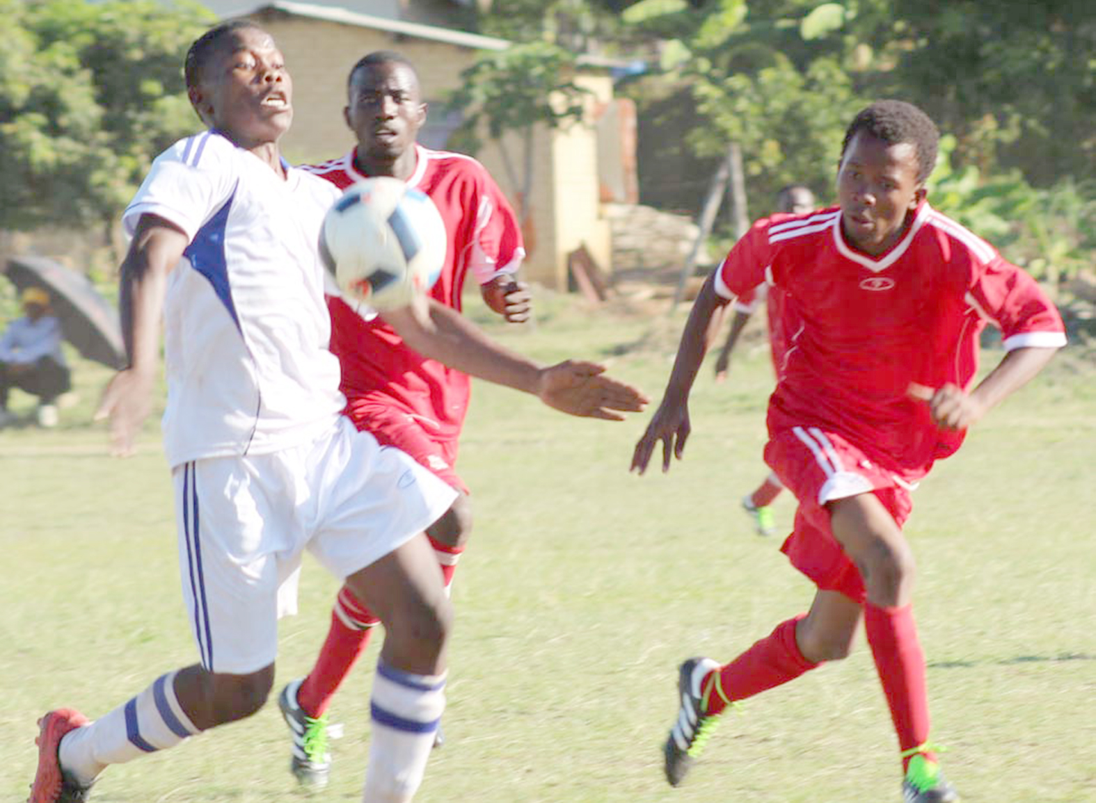 No peace for Shayandima Dynamos