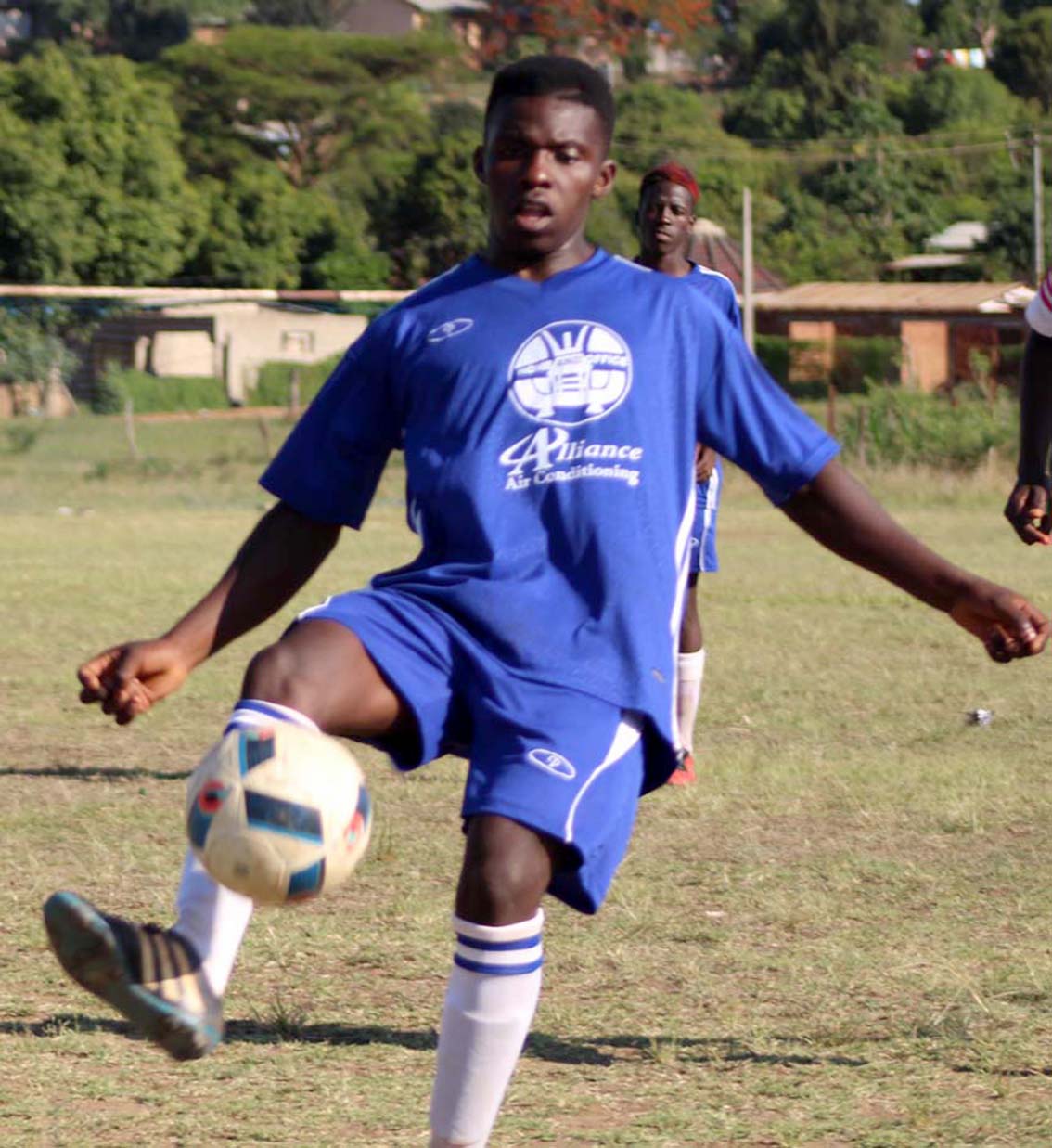 Mixed fortunes for Happy Boys