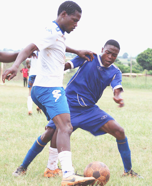 Flying Eagles refuse to die