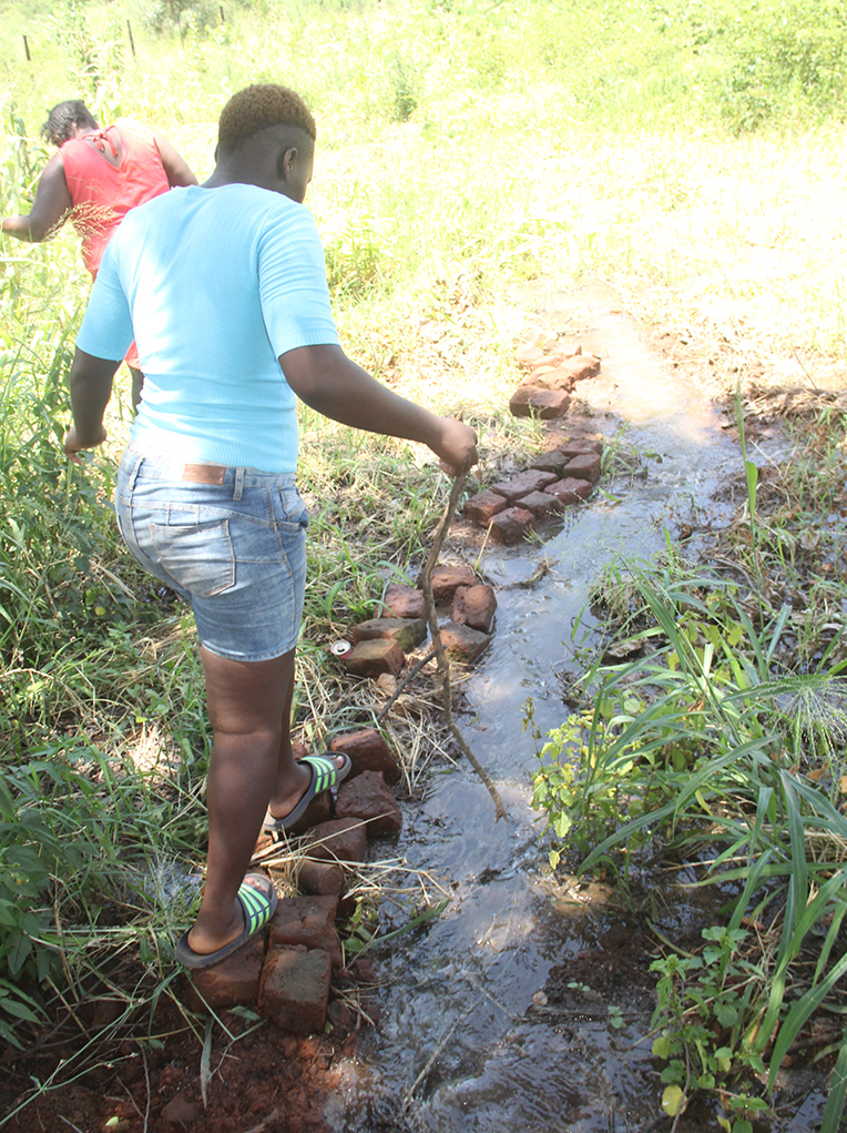 Tshisahulu Makulela residents back to their normal lives.