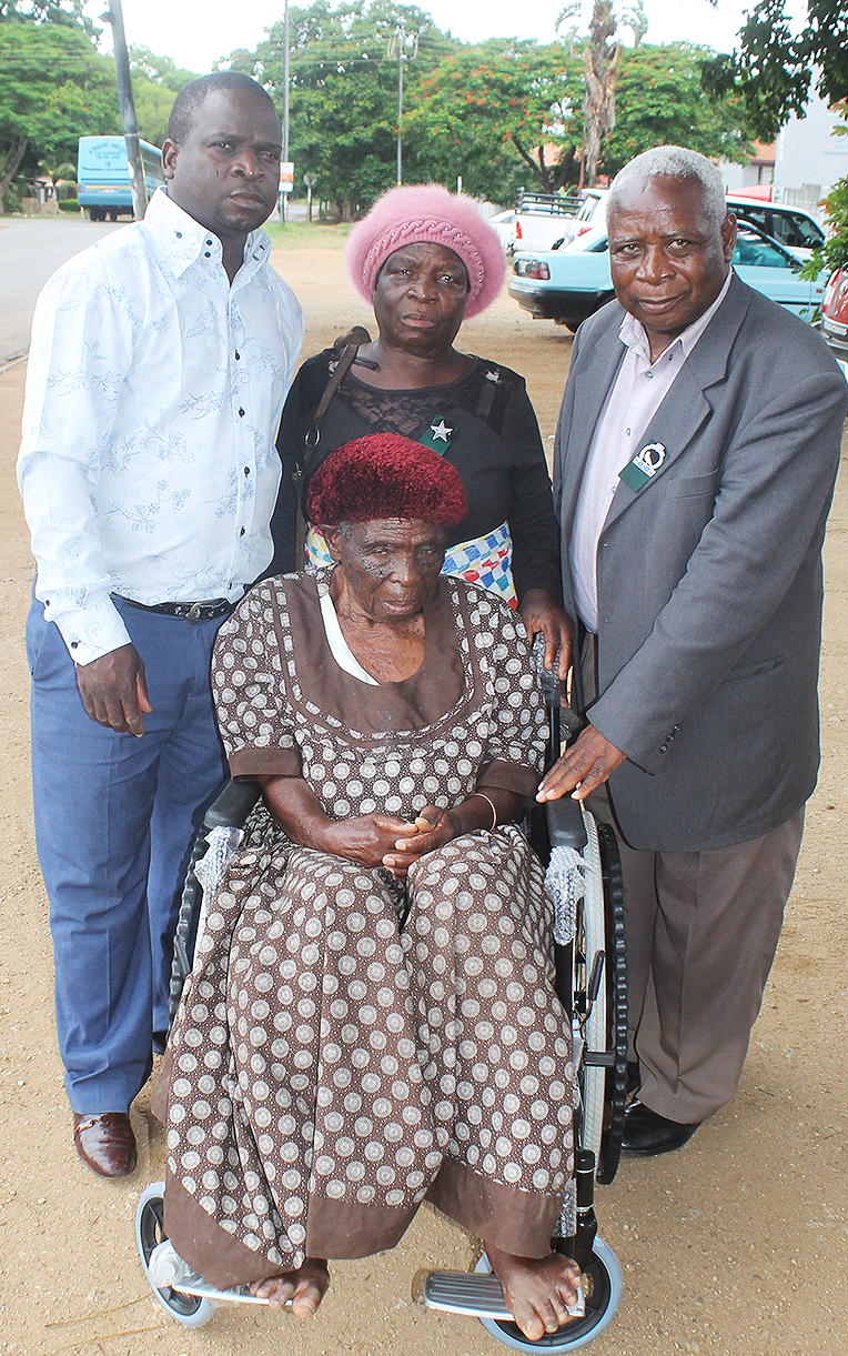 Wheelchair for disabled gogo