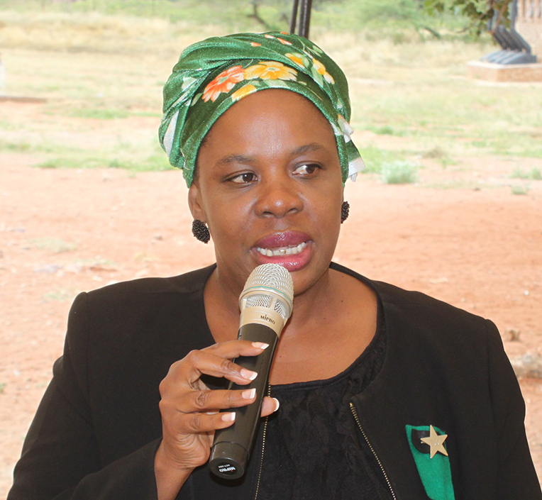 Musina IDP under discussion