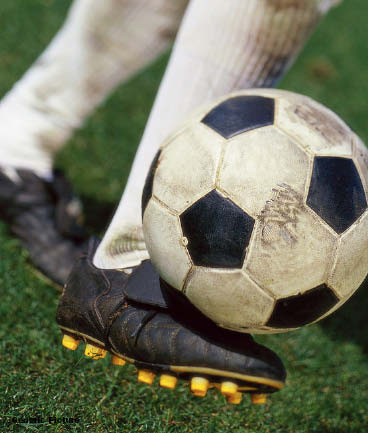 Results: Leopards and Bucks share the spoils