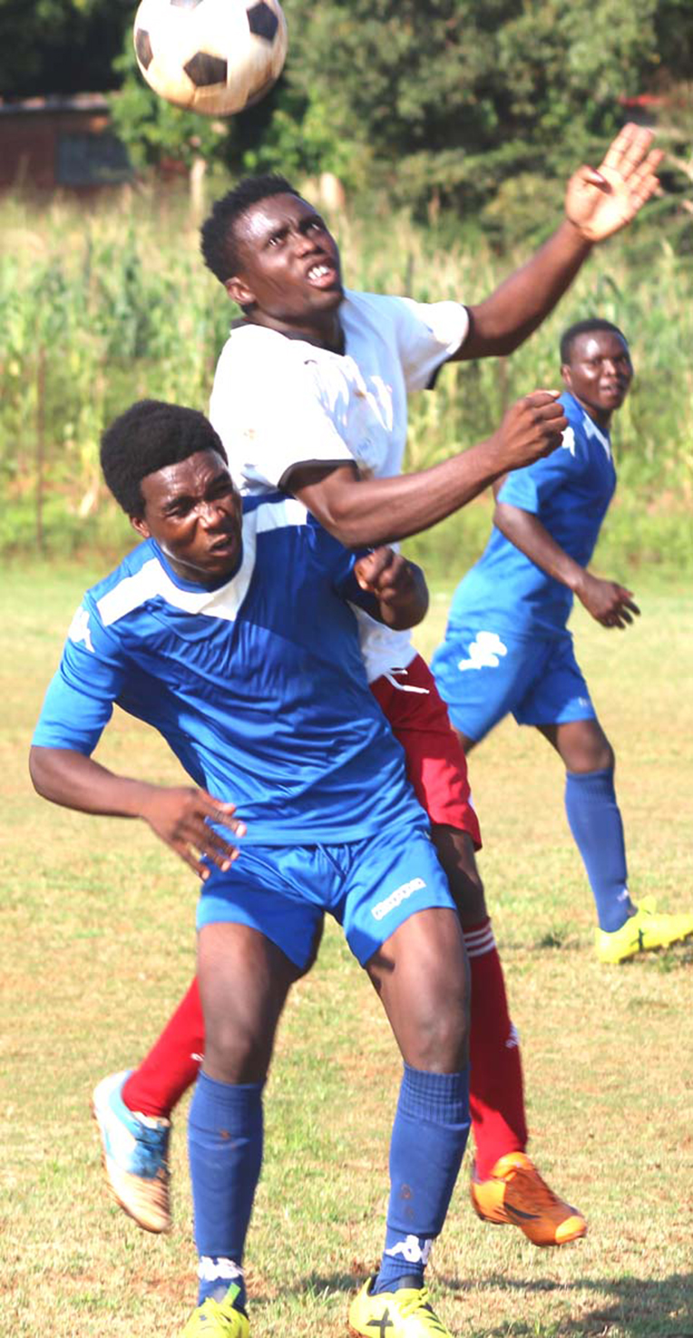 Joyful weekend for Cobra Stars