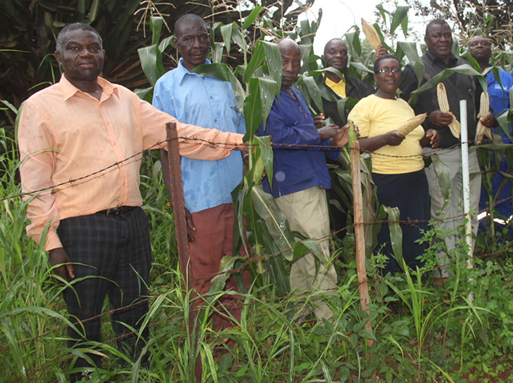 Lwamondo Dryland farmers need help from the government