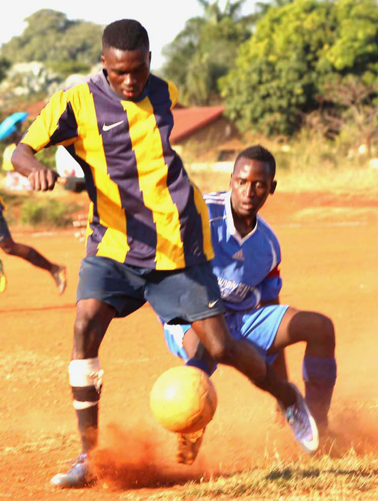 Birds hold Rockers to a draw