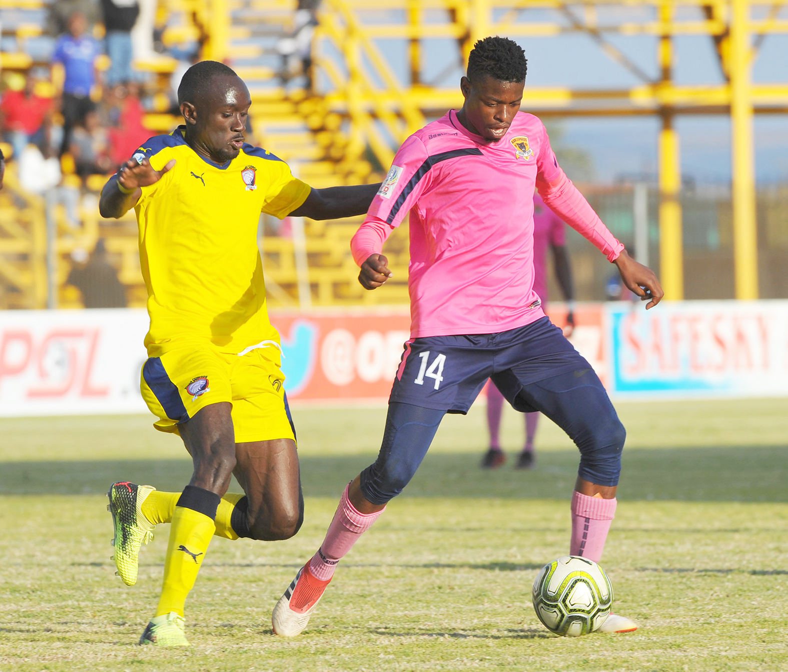 Leopards need four points