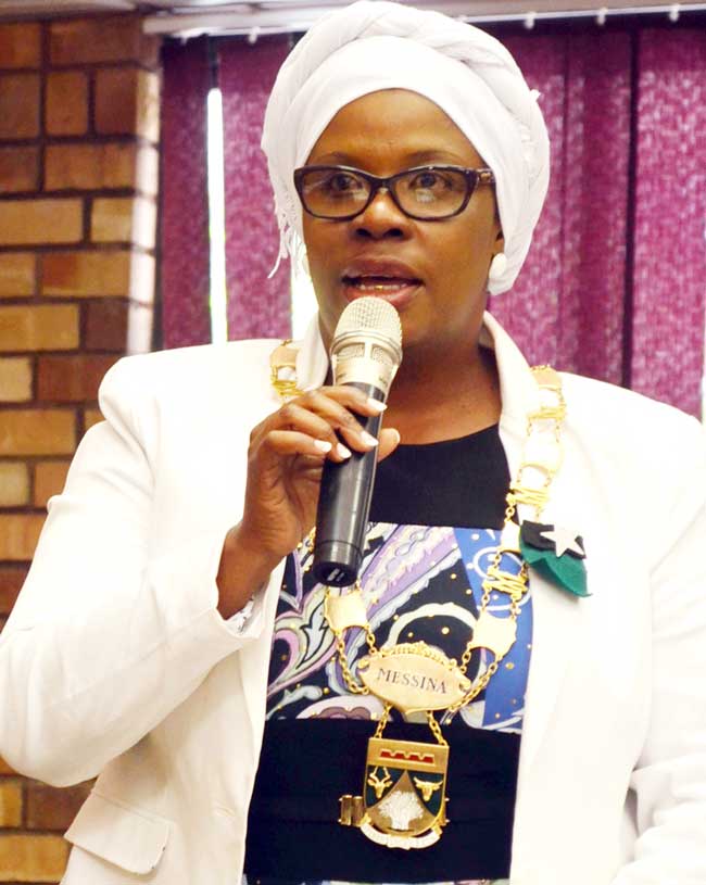 Eskom debt 'of huge concern' to Musina