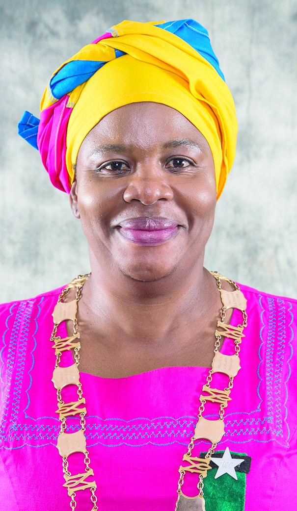We are addressing Eskom debt, says Musina mayor
