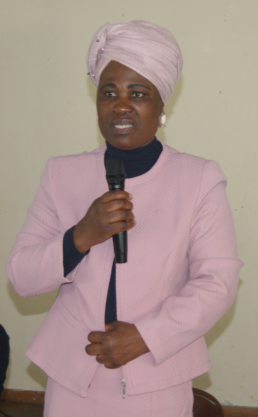 Bill dealing with traditional leaders discussed