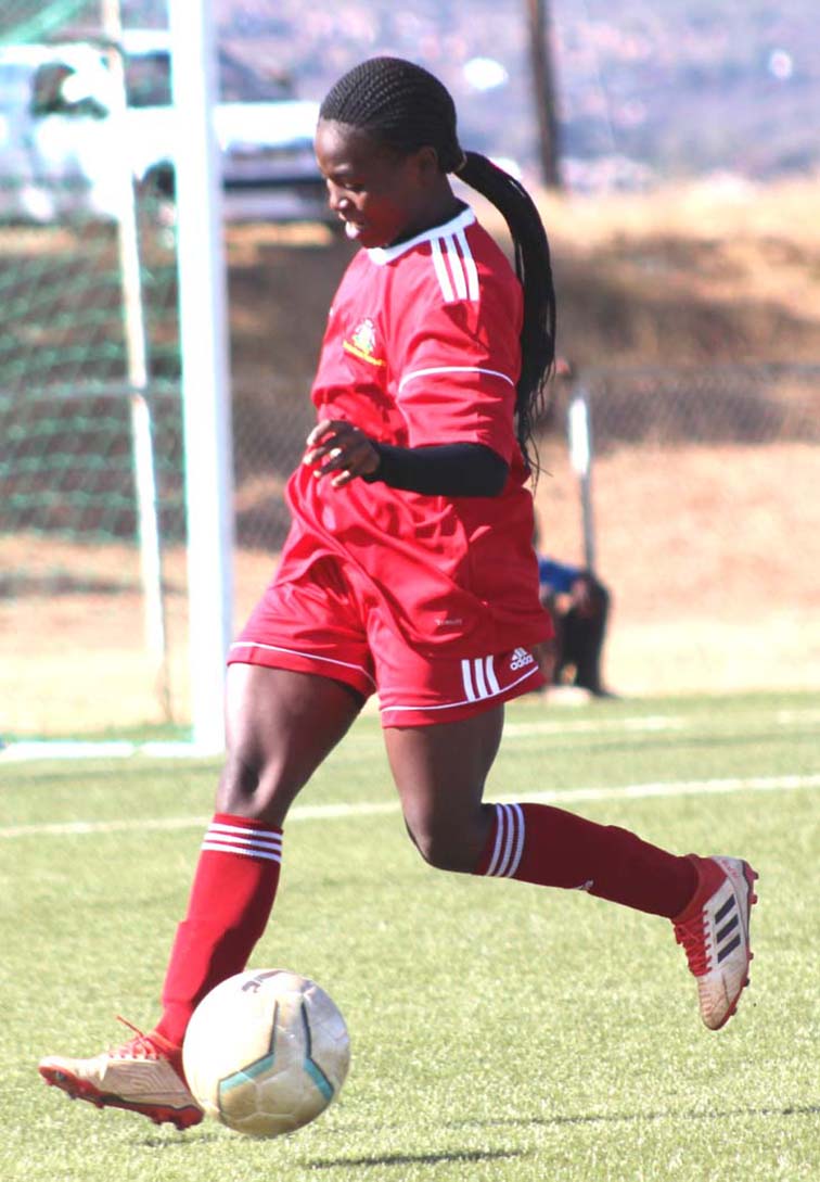 Can the Stars shine over Samba Girls?