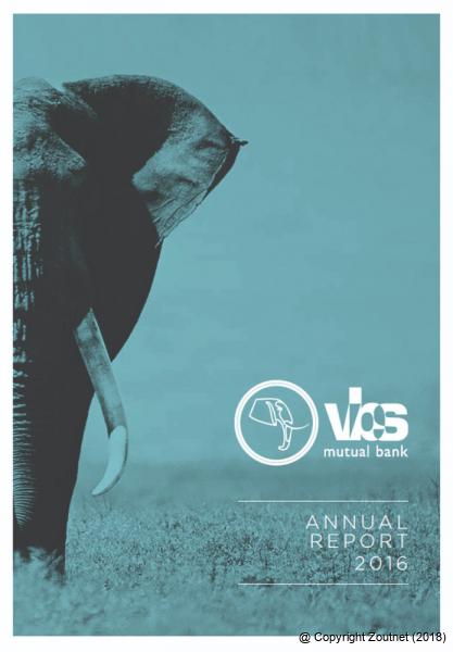 Forensic team have three months to investigate VBS investments