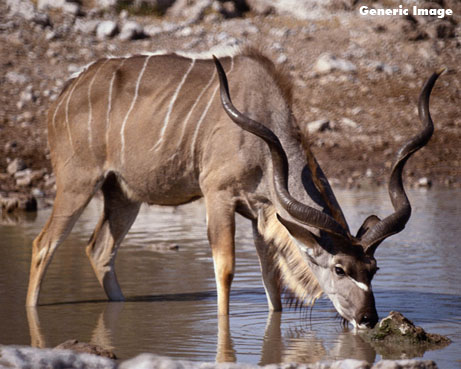 Free visit and experience at SANParks