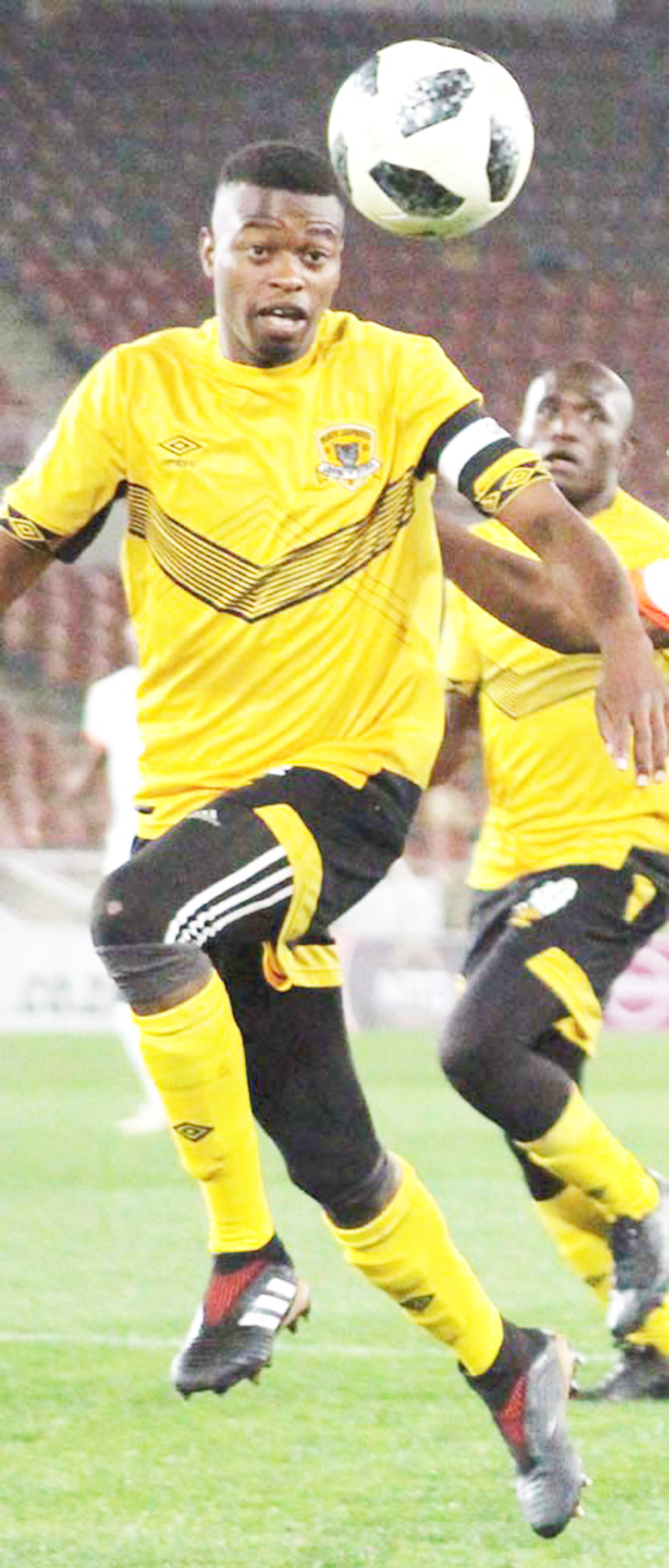 Black Leopards ready to maul Celtic
