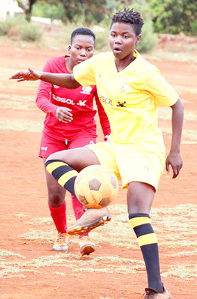 Another victory for Morning Stars