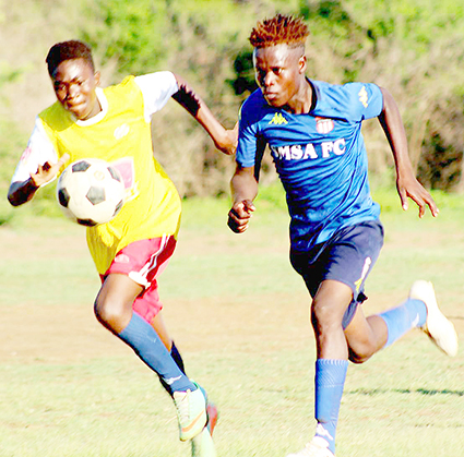 SMSA and United share the spoils