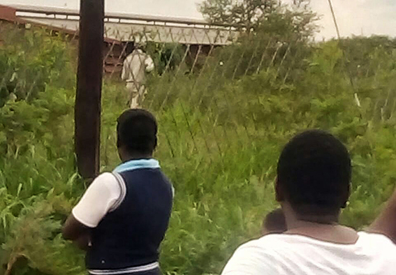 Leopard spreads fear in village