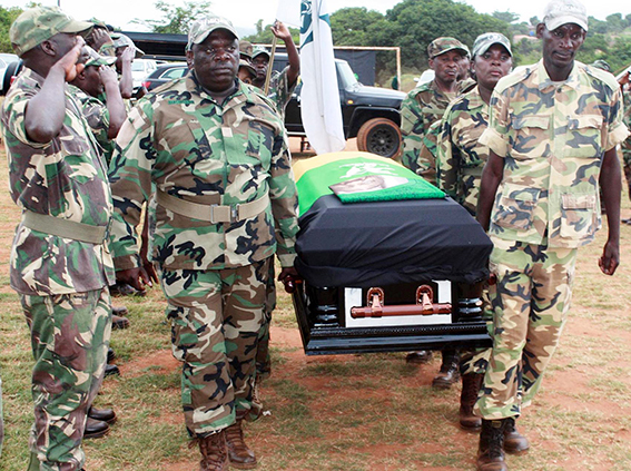 Bring services to people to honour struggle veteran