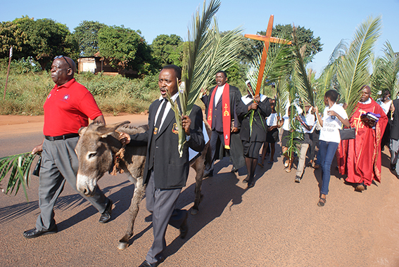 Palm Sunday celebrated at Tshidimbini