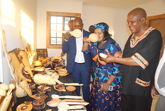 Traditional leaders hail Matsila model of rural development
