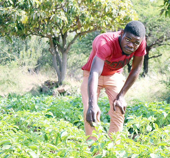 Siphuma making waves in farming
