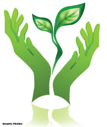 Draft Climate Adaptation Strategy open for public comment